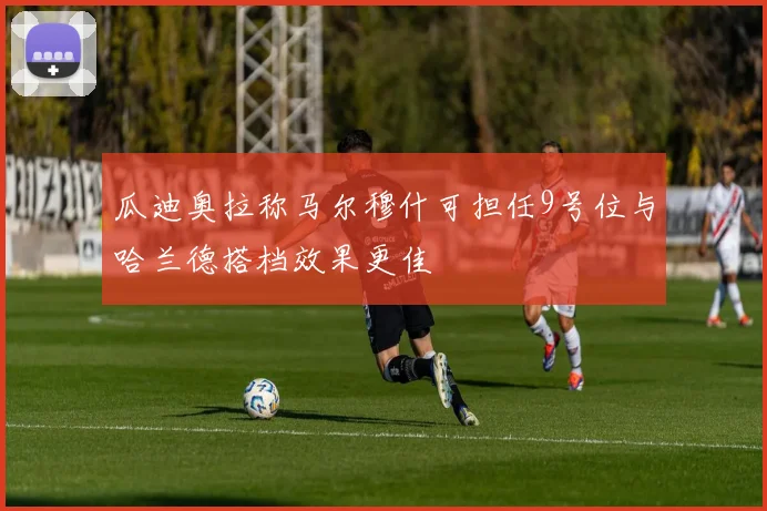 瓜迪奥拉称马尔穆什可担任9号位与哈兰德搭档效果更佳