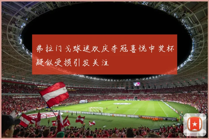 弗拉门戈球迷欢庆夺冠喜悦中奖杯疑似受损引发关注