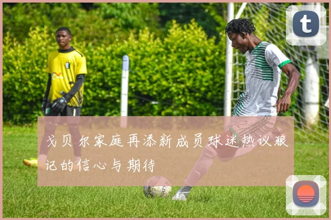 戈贝尔家庭再添新成员球迷热议狼记的信心与期待