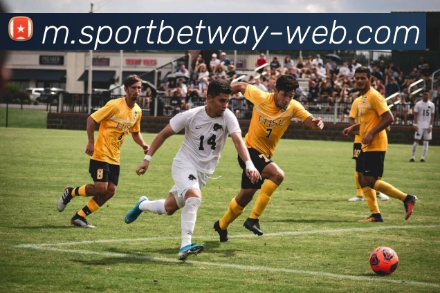 必威体育APP 高清赛事图